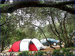 Peljesac Camp/Brijesta Camp /Dubrovnik Camp /Orebic Camp /Camp Zakono in Brijesta